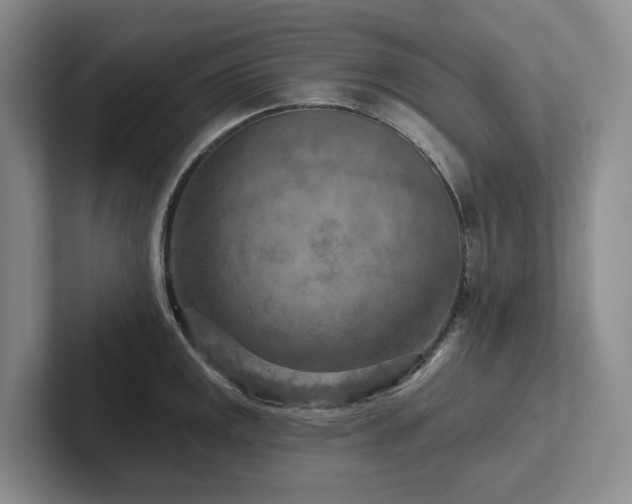X0000102501141200808081344