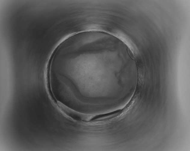 X0000102501142200808081344
