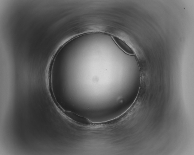 X0000102501143200808081344