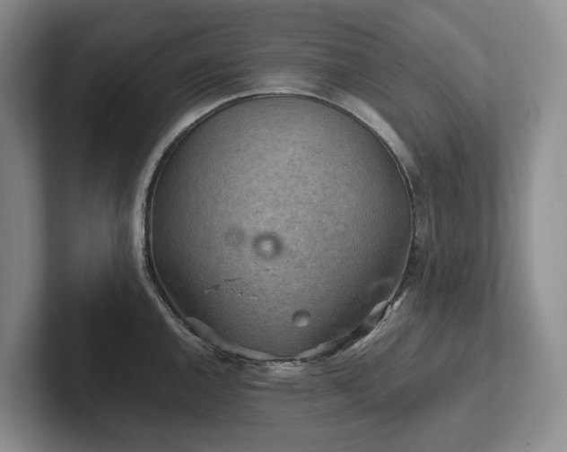 X0000102501144200808081344