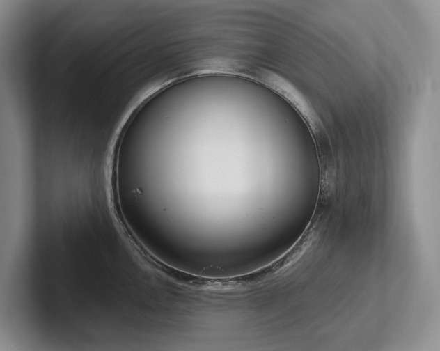 X0000102501146200808081344