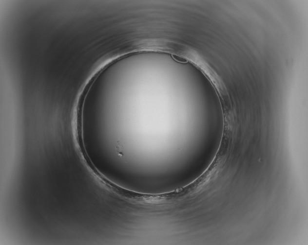 X0000102501147200808081344