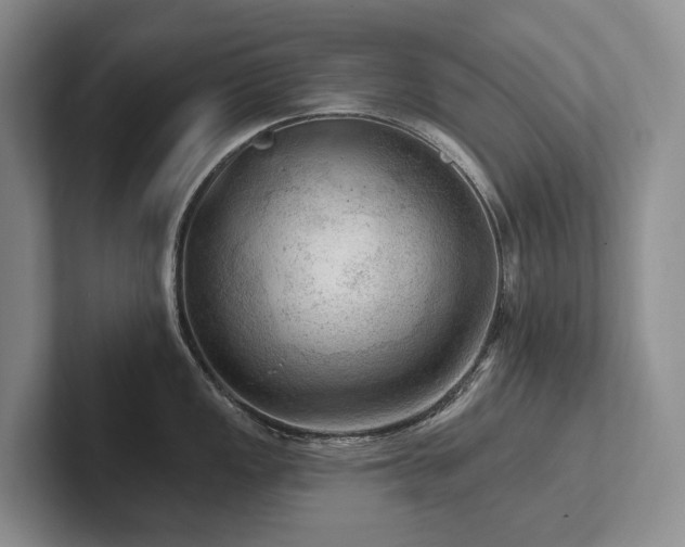X0000102501149200808081344