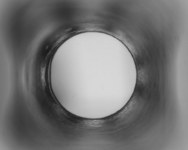 X0000102501150200808081344