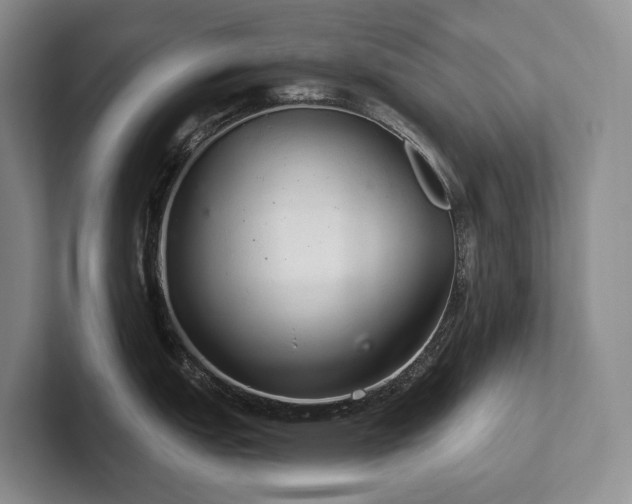 X0000102501151200808081344