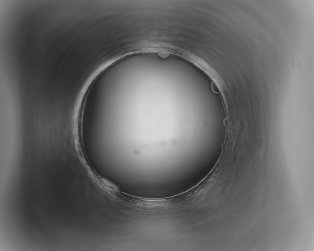 X0000102501152200808081344