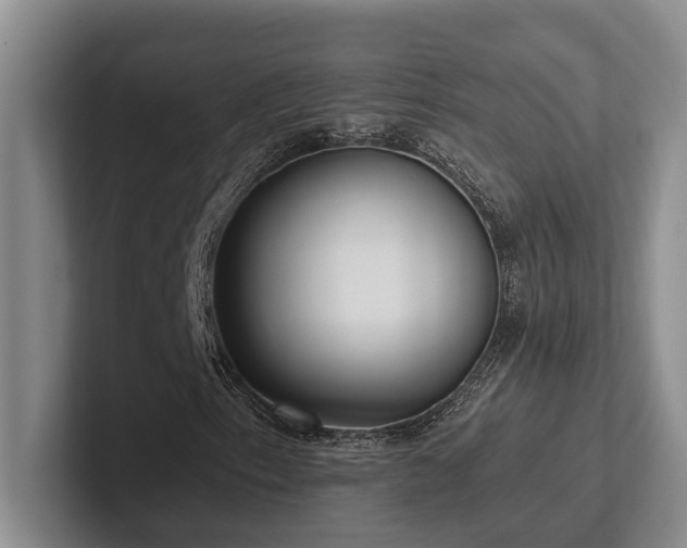X0000102501153200808081343