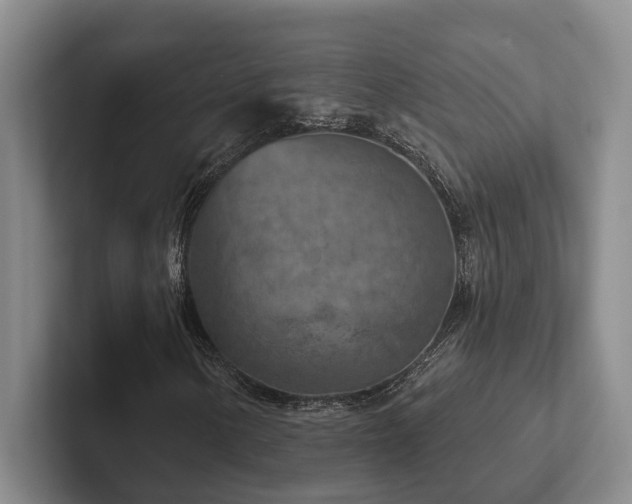 X0000102501154200808081343