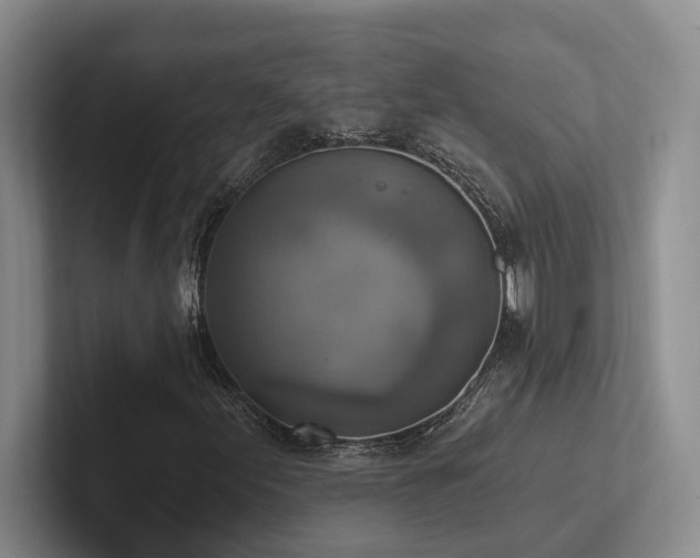 X0000102501155200808081343