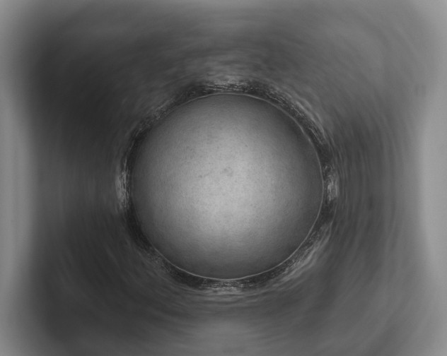 X0000102501156200808081343