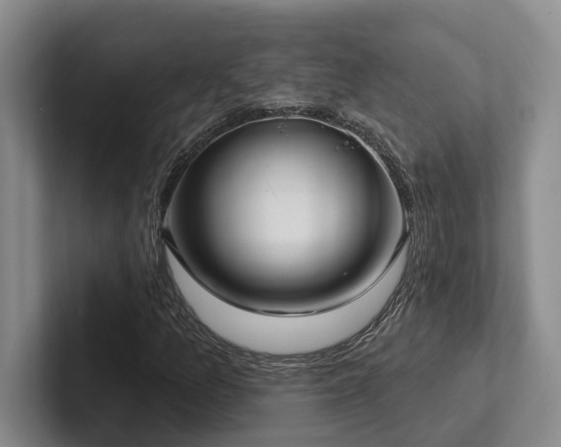 X0000102501157200808081343