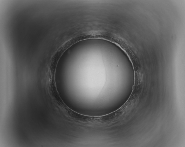 X0000102501158200808081343