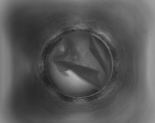 X0000102501159200808081343