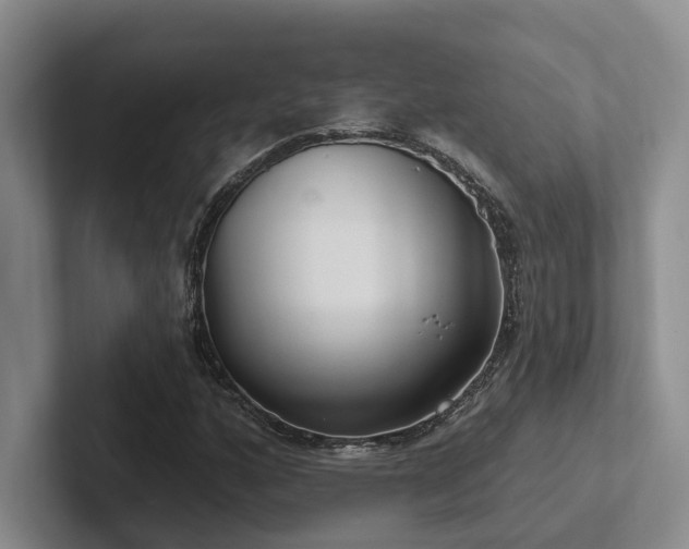X0000102501160200808081343
