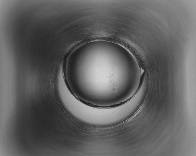 X0000102501161200808081343