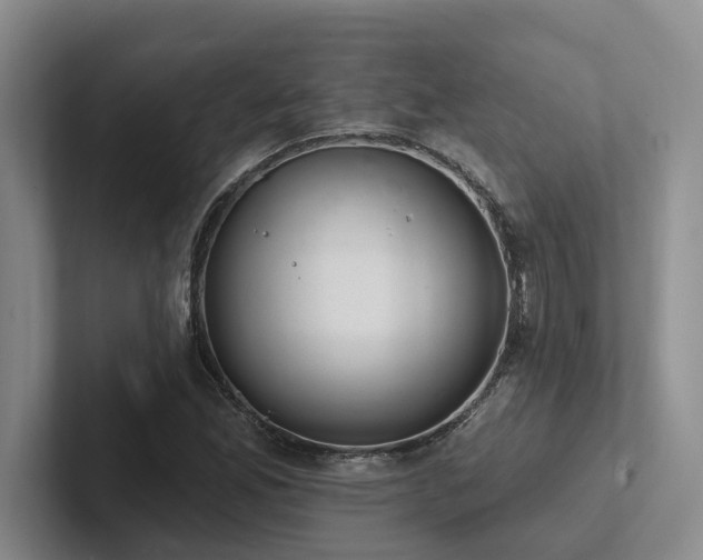 X0000102501165200808081343