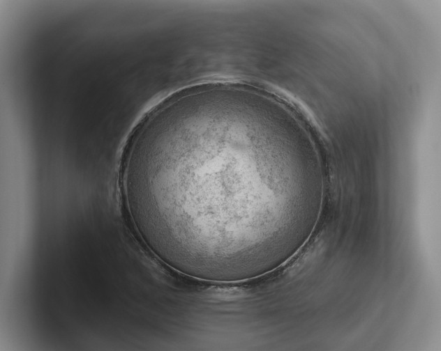 X0000102501168200808081343