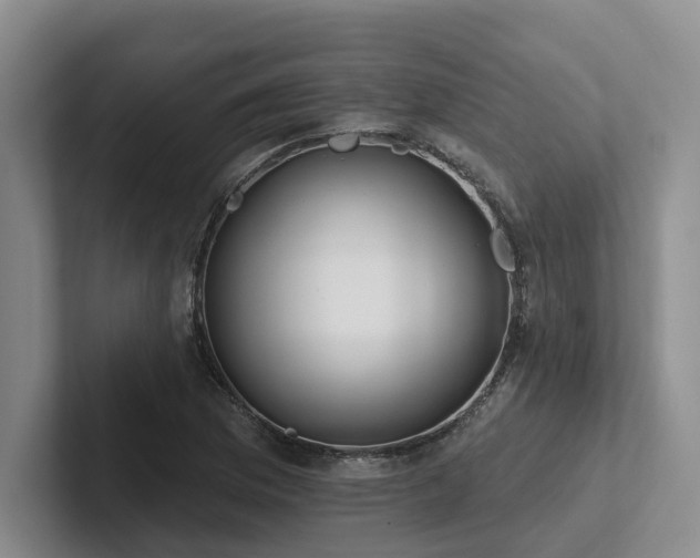 X0000102501169200808081343