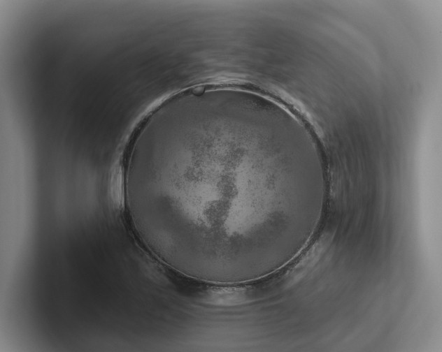 X0000102501171200808081343
