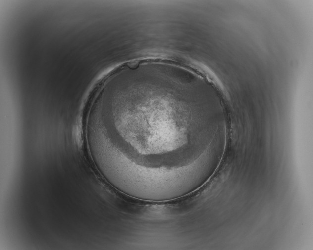 X0000102501172200808081343