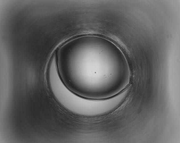 X0000102501173200808081343