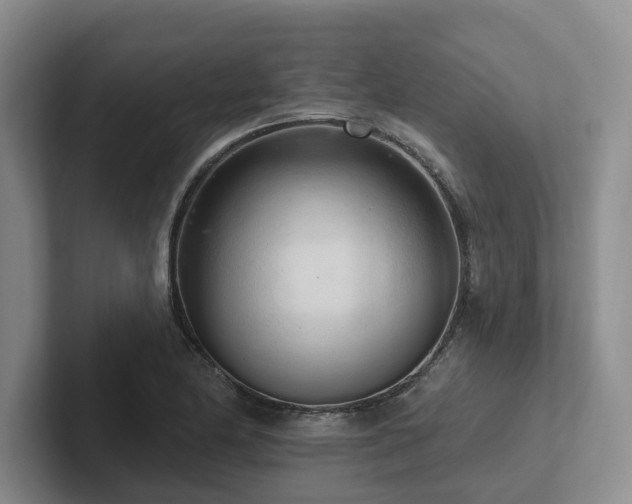 X0000102501174200808081343