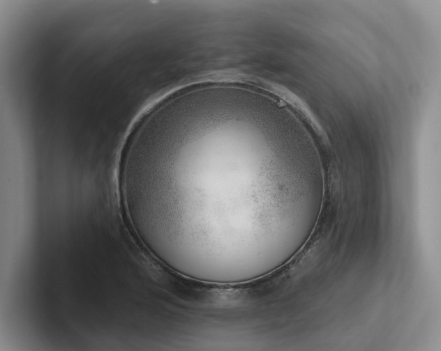 X0000102501176200808081343
