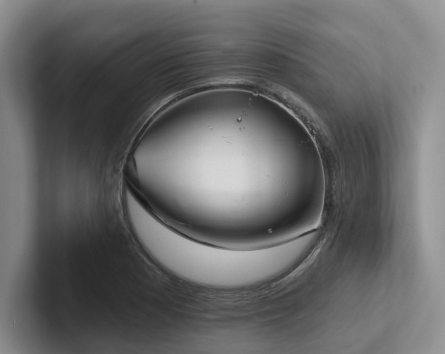 X0000102501177200808081343