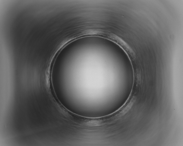 X0000102501178200808081343