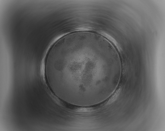 X0000102501179200808081343