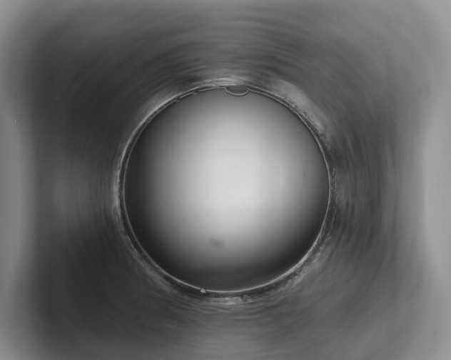 X0000102501186200808081343