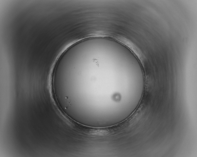 X0000102501187200808081343