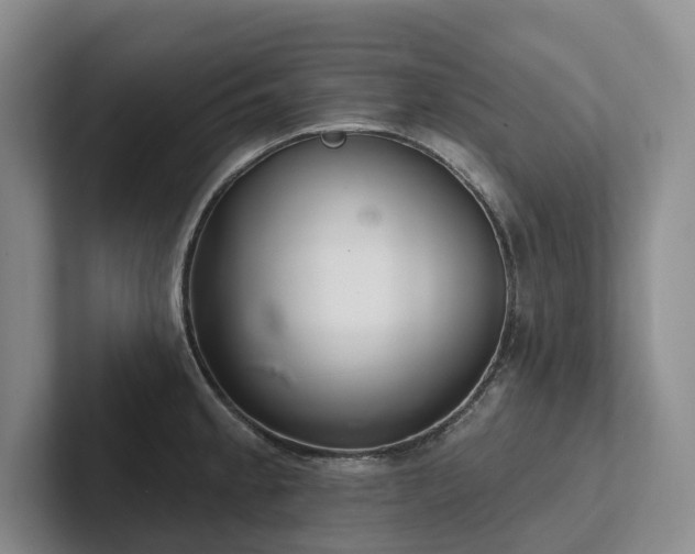 X0000102501189200808081343