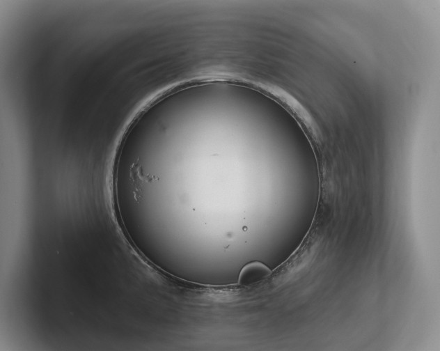X0000102501191200808081343