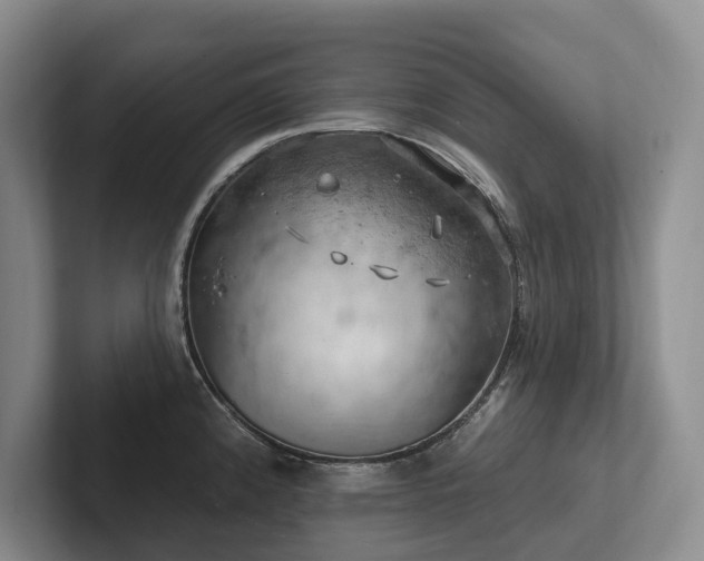 X0000102501192200808081343