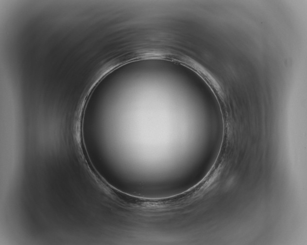 X0000102501194200808081343