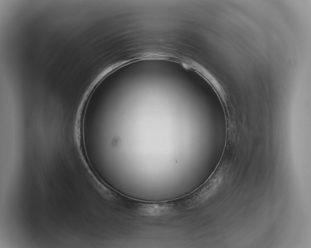X0000102501195200808081343