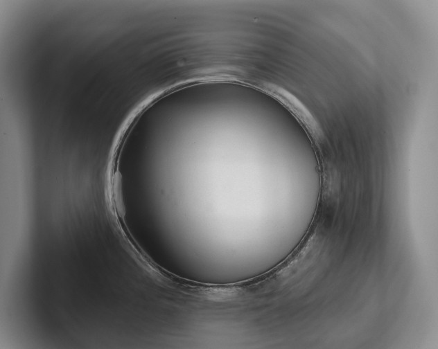 X0000102501196200808081342