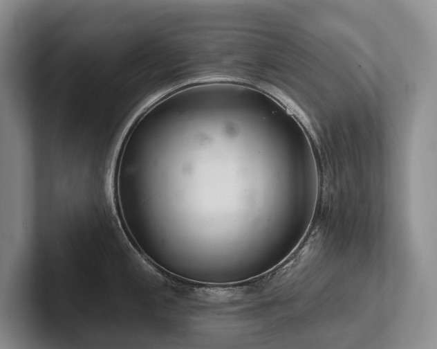 X0000102501197200808081342