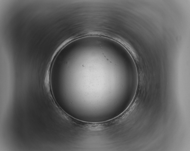 X0000102501198200808081342