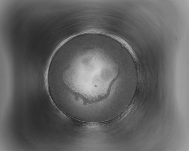 X0000102501199200808081342