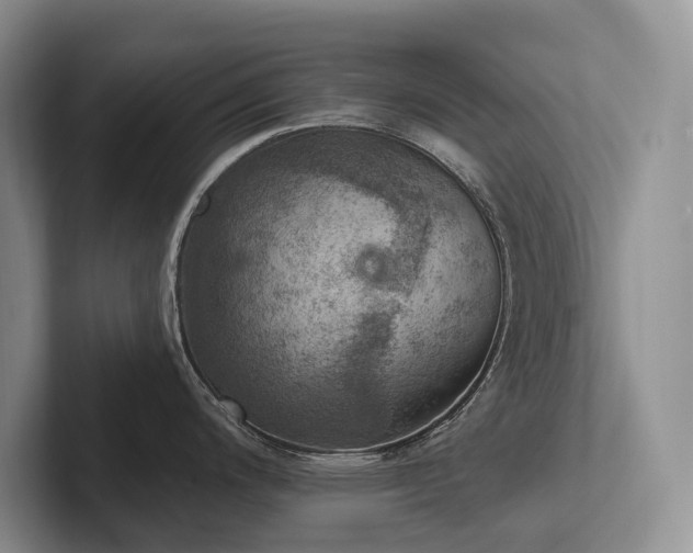 X0000102501200200808081342