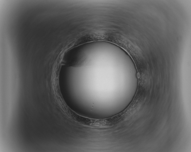 X0000102501201200808081342