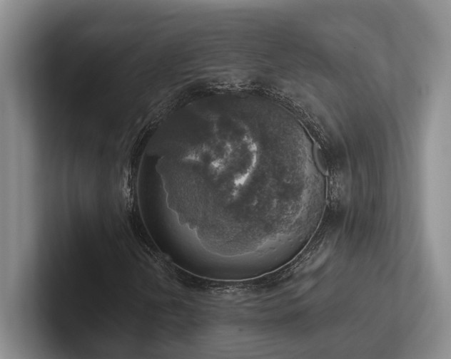 X0000102501202200808081342