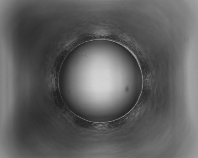 X0000102501205200808081342
