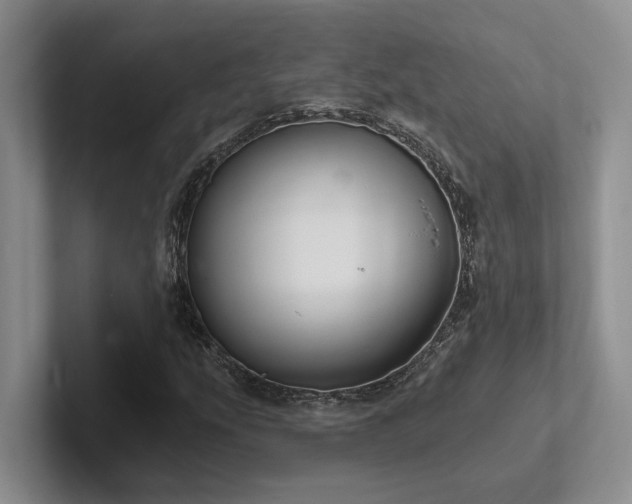 X0000102501207200808081342