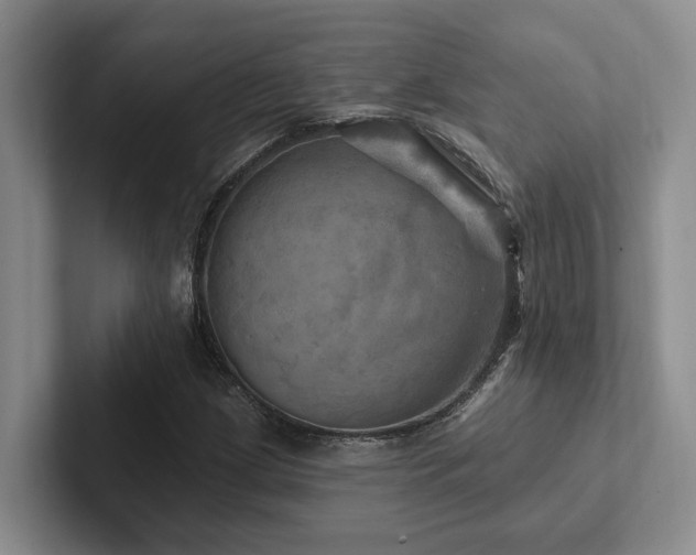 X0000102501209200808081342