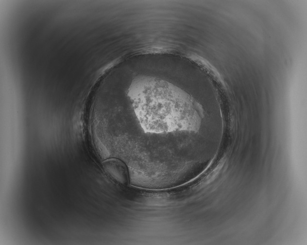 X0000102501210200808081342