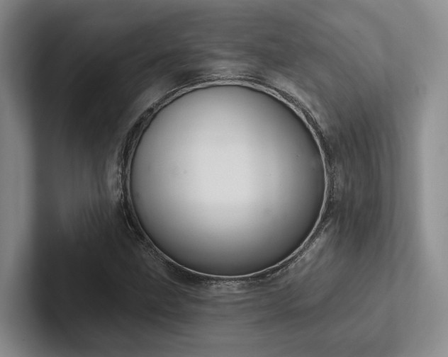 X0000102501211200808081342