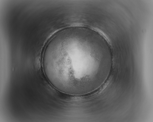 X0000102501212200808081342